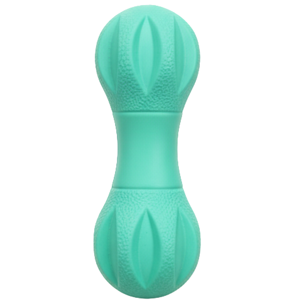 Pet Toy With Sound for Small Dogs Petfast.shop CoolCat Dog Puppy Supplies Toys petfast.shop Egypt PPE3490S Green 85.00