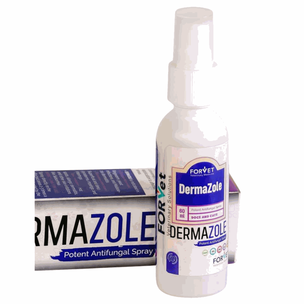 DermaZole antifungal spray bottle with packaging on a white background