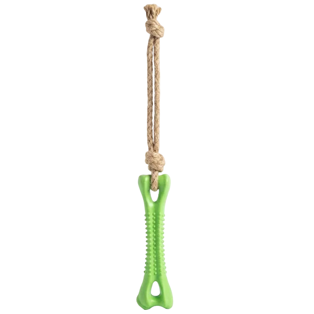 Buddy pet Natural Rope & Rubber Bone Tug Toy for Dogs