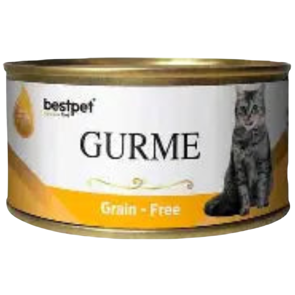 Best Pet Gurme Adult Cat With Chicken 100g Petfast.shop Bestpet Cat Food Wet Food petfast.shop Egypt PBE2449S45.00