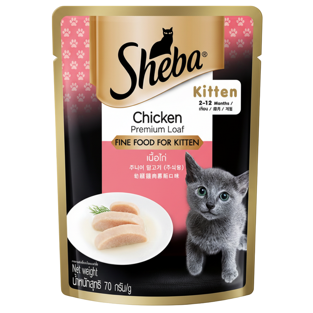 Sheba Premium Kitten Food Chicken 70g