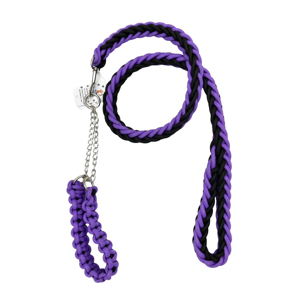 MouSsa Nylon Pet Collars Dog Rope Leash M/L