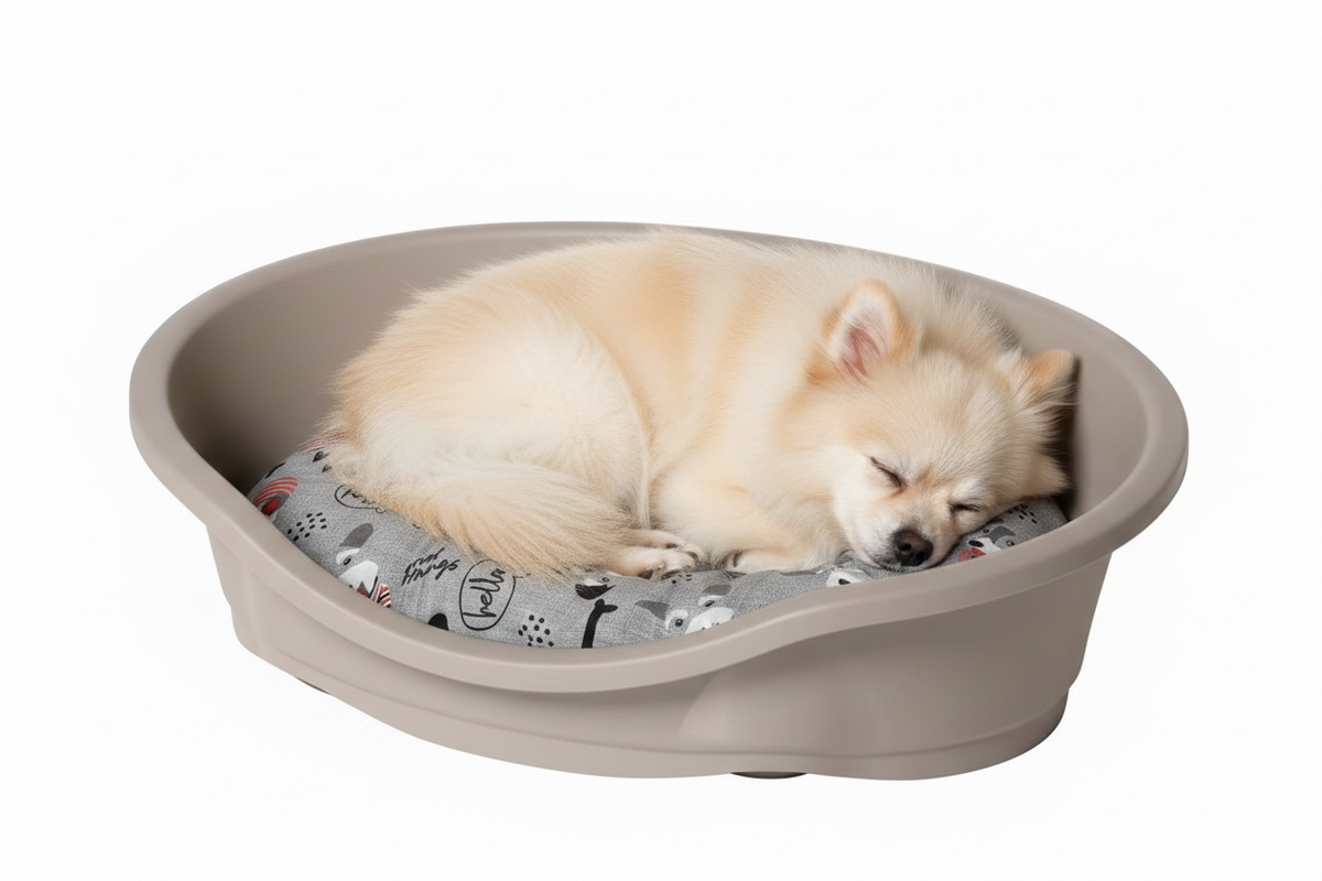 Small Dog Sleeping in Beige Bed