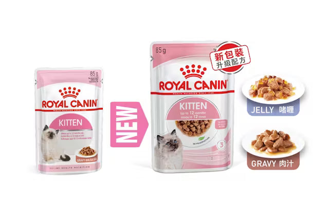 Royal Canin Wet Food Chunks in Jelly for Kittens 85 gr