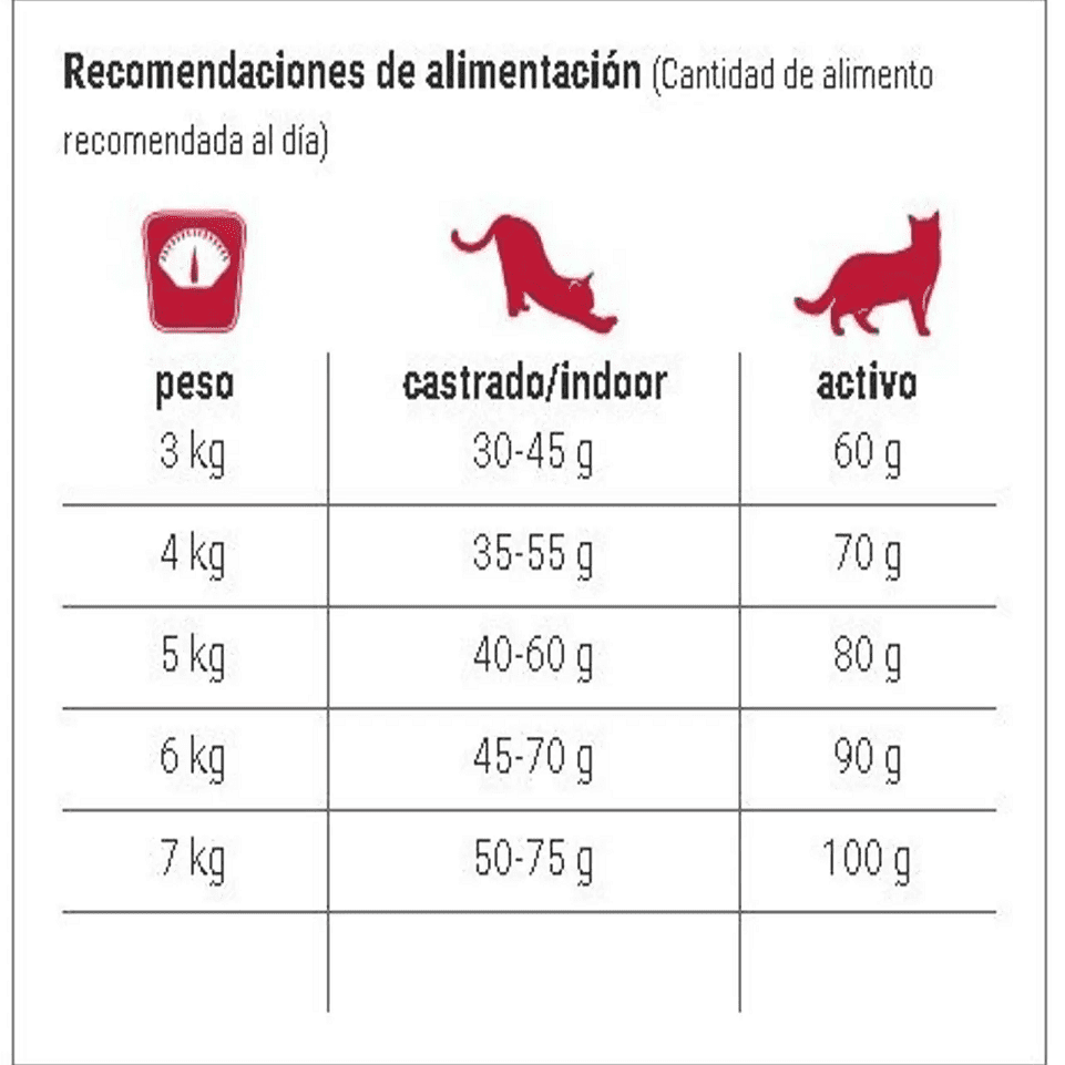 Bewi Dry food for Adult Cat Crocinis 3 Mix