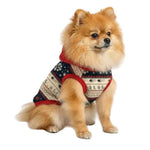 Small dog wearing a festive sweater with a white background