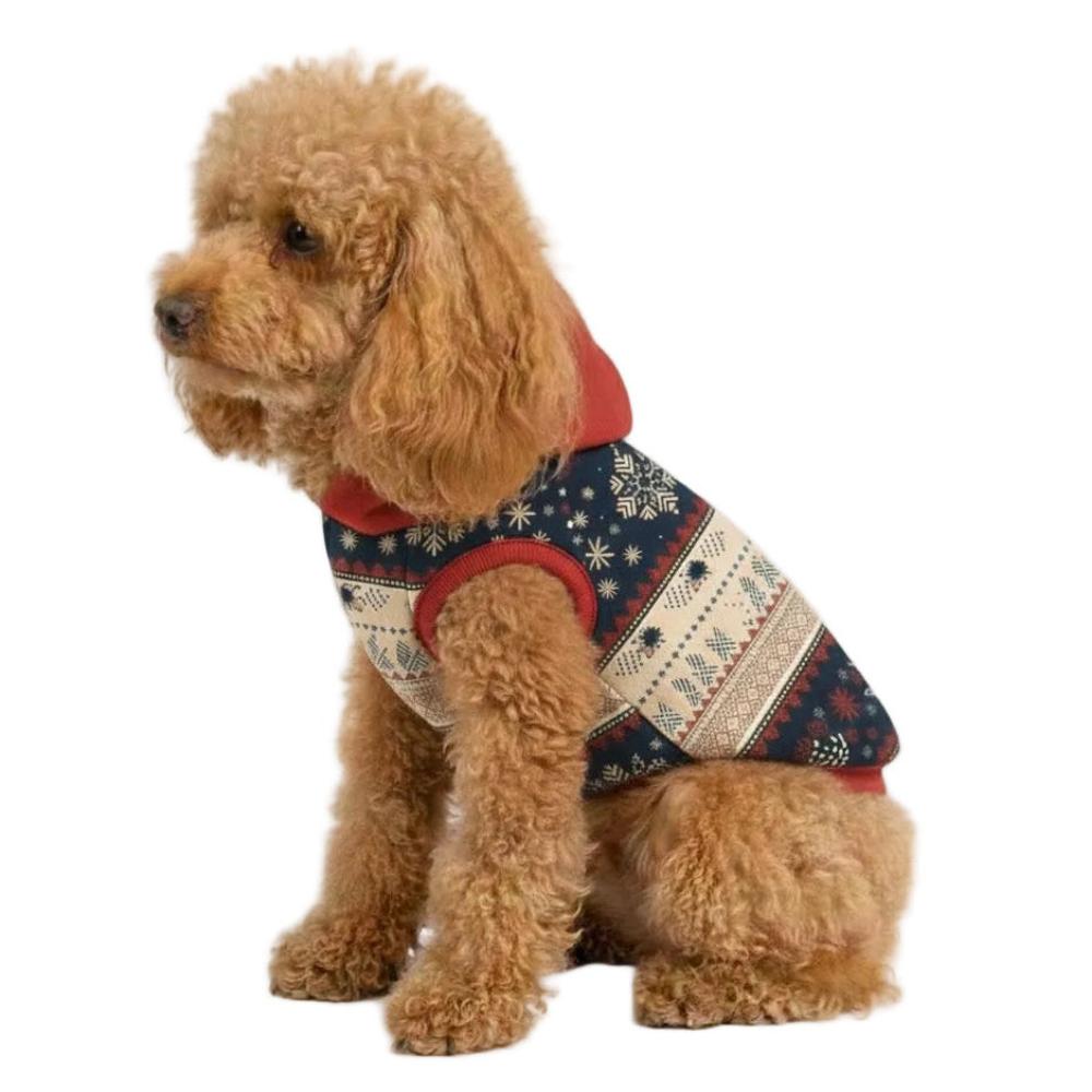 Dog wearing a festive sweater with a white background