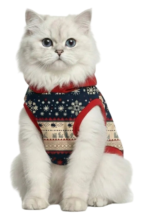 Petmoda Winter ChristmasHoodie Snowflake 2