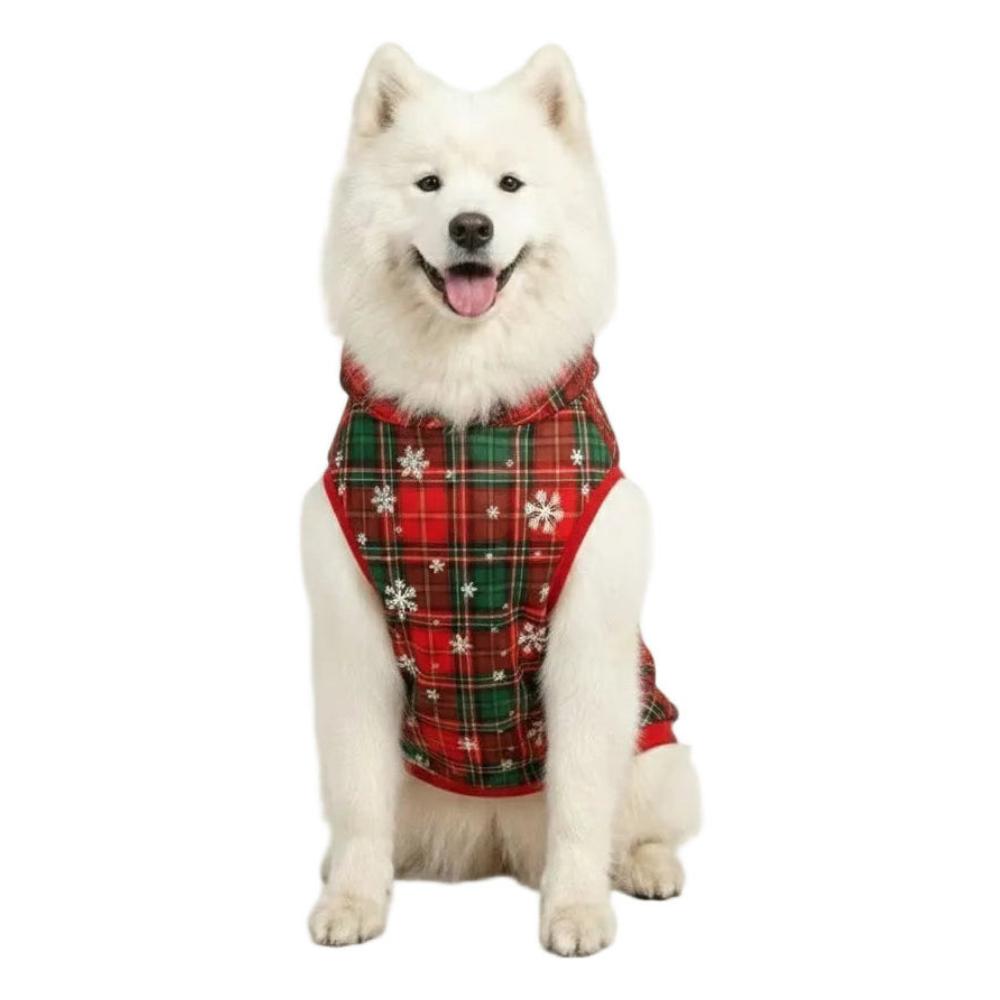 White dog wearing a red plaid dog coat with snowflake patterns on a white background