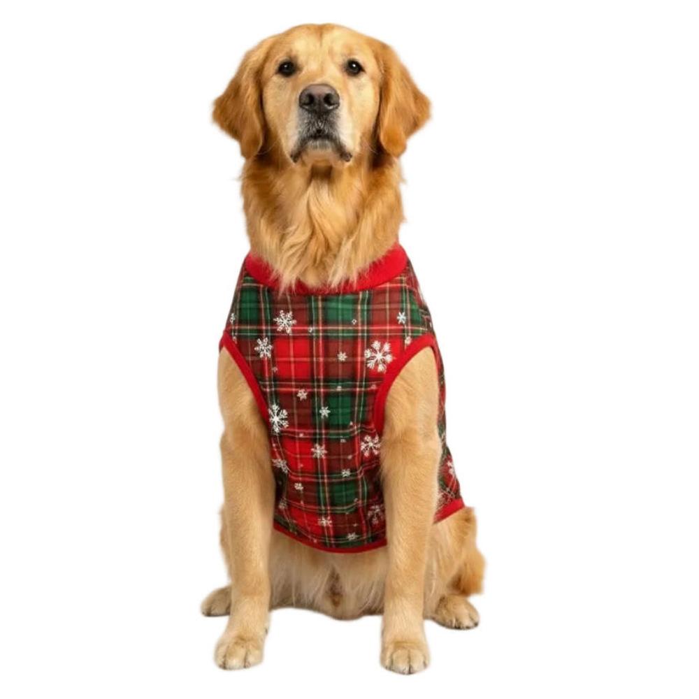 Dog wearing a red plaid sweater with white snowflake pattern on a white background