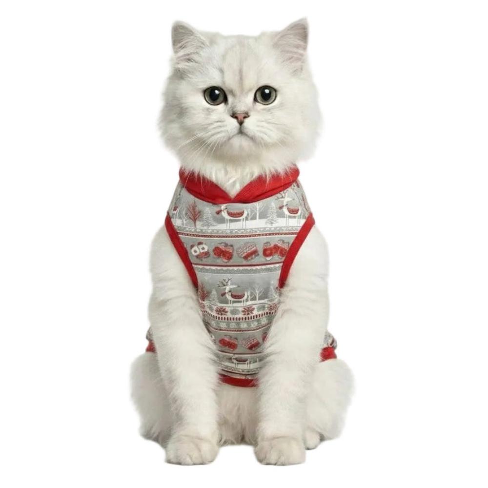 Cat wearing a red and white patterned harness on a white background