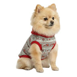 Small dog wearing a patterned outfit with red trim on a white background