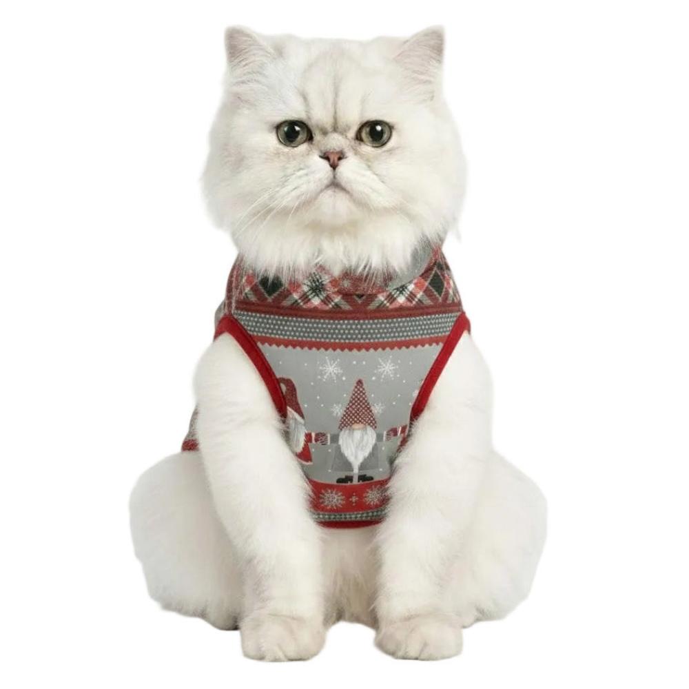Cat wearing a festive sweater with a reindeer design on a white background