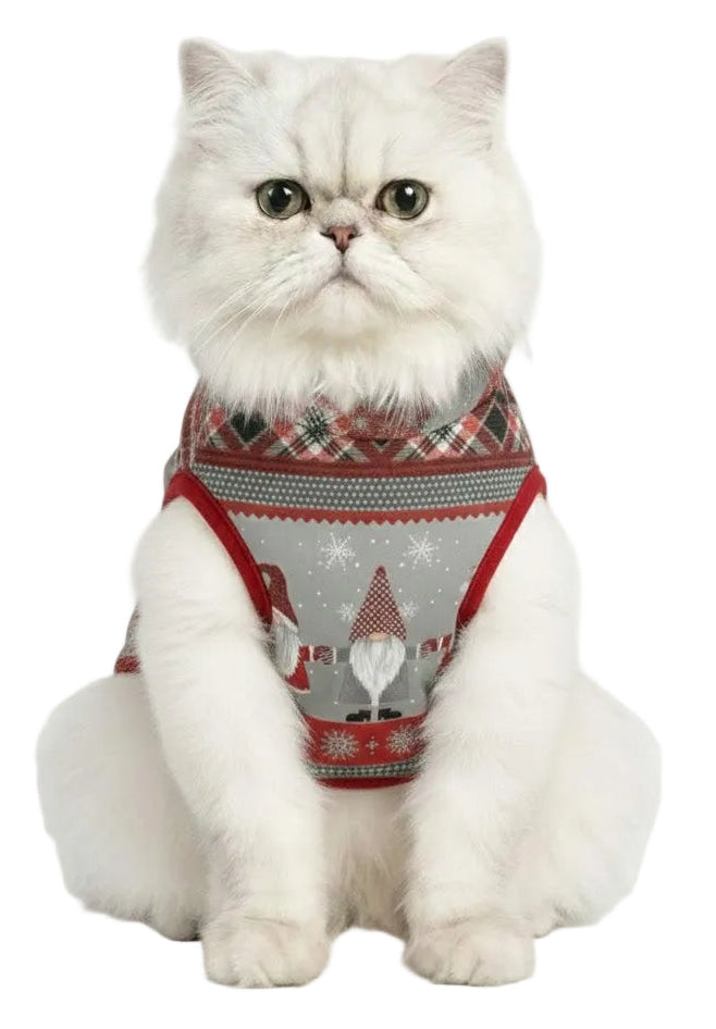 Petmoda Winter Christmas Hoodie babanawel