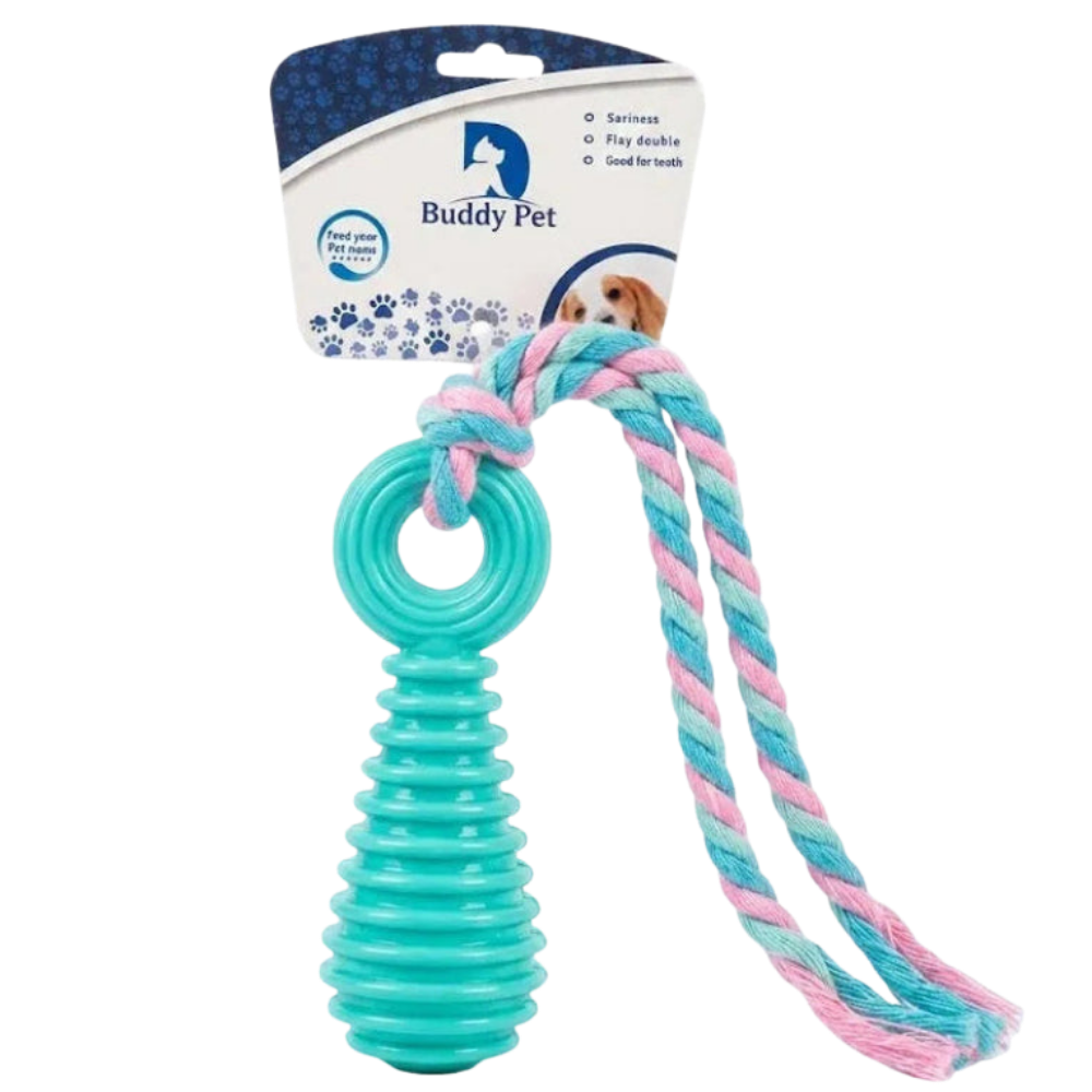 Teal dog toy with pink rope on a white background, branded as Buddy Pet.