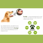 Dentalight Vital Fiber Honey Fennel Seed & Kumquat 8 Small Pieces Petfast.shop Dentalight Chewy Treat Dog Exclusive Treats petfast.shop Egypt PDE5942S Brush 250.00