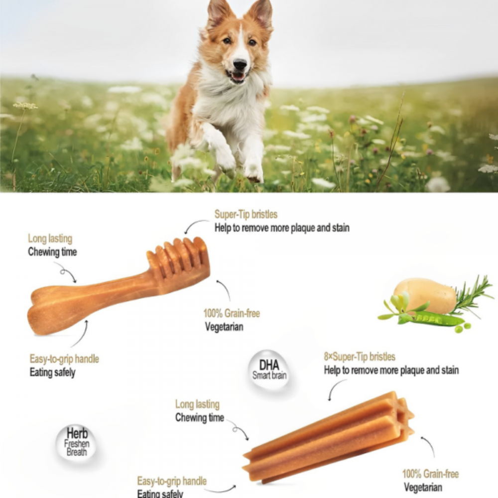 Dentalight Vital Fiber Honey Fennel Seed & Kumquat 8 Small Pieces Petfast.shop Dentalight Chewy Treat Dog Exclusive Treats petfast.shop Egypt PDE5942S Brush 250.00