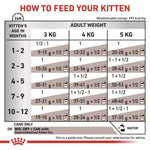 Feeding guide for kittens with weight and age indicators