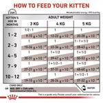 Feeding guide for kittens with weight and age indicators
