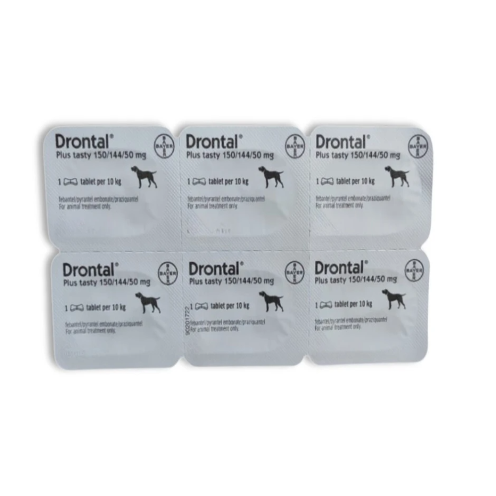 Packaging of Drontal Plus tablets for dogs on a white background