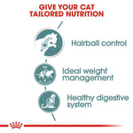Diagram of cat nutrition benefits with icons and text on a white background