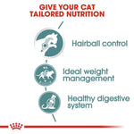 Diagram of cat nutrition benefits with icons and text on a white background