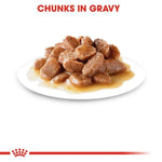 Plate of chunks in gravy with a brand logo at the bottom.