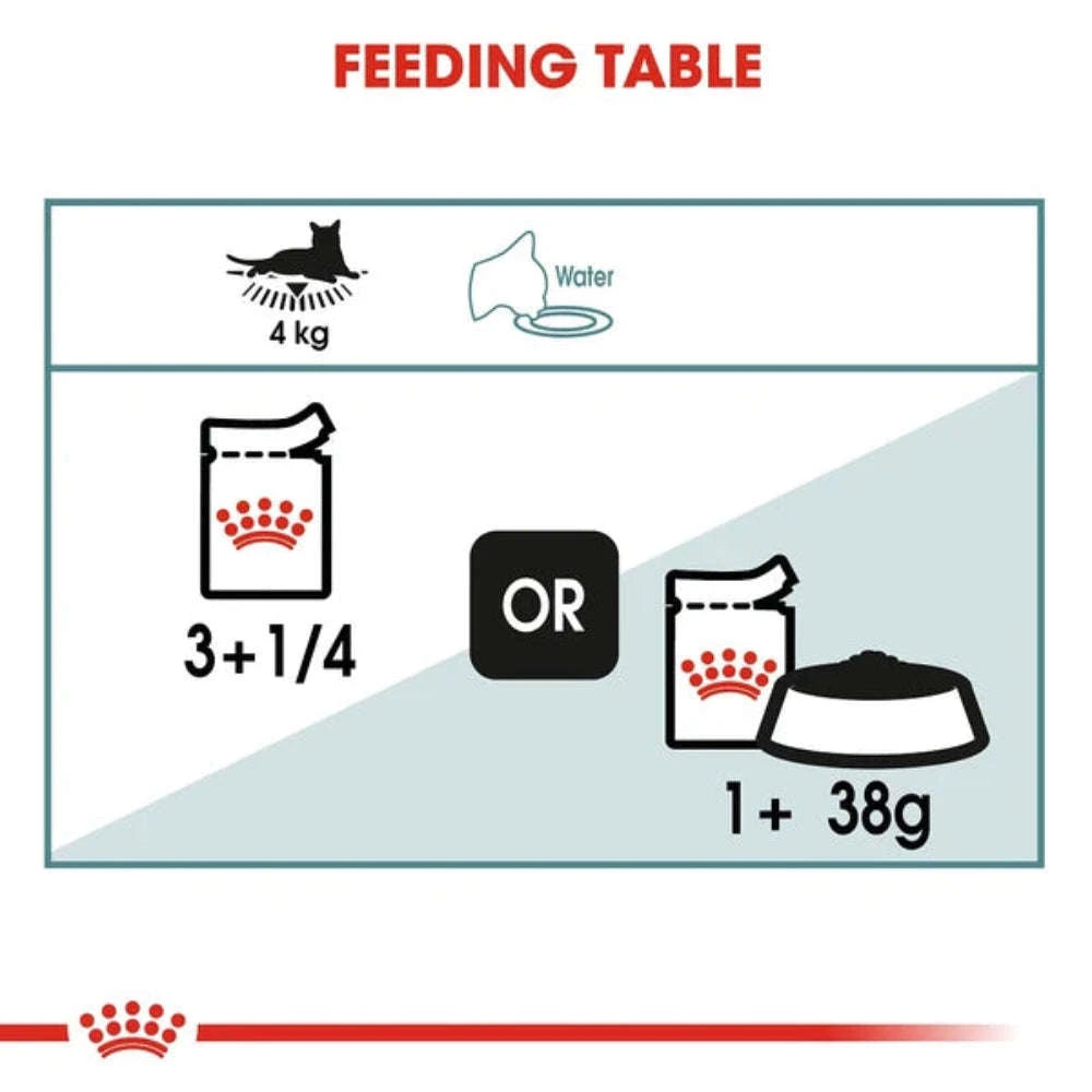 Feeding table diagram for a cat with icons and text indicating feeding amounts.