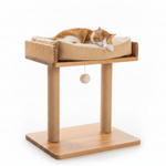 Cat resting on a wooden cat tree with a cushion on a white background