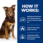 Hill's Prescription Diet Metabolic Wight Loss & Maintenance Dog Food with Chicken 4Kg Petfast.shop Hill's Dog Dry Food Food petfast.shop EgyptDefault Title 3640.00