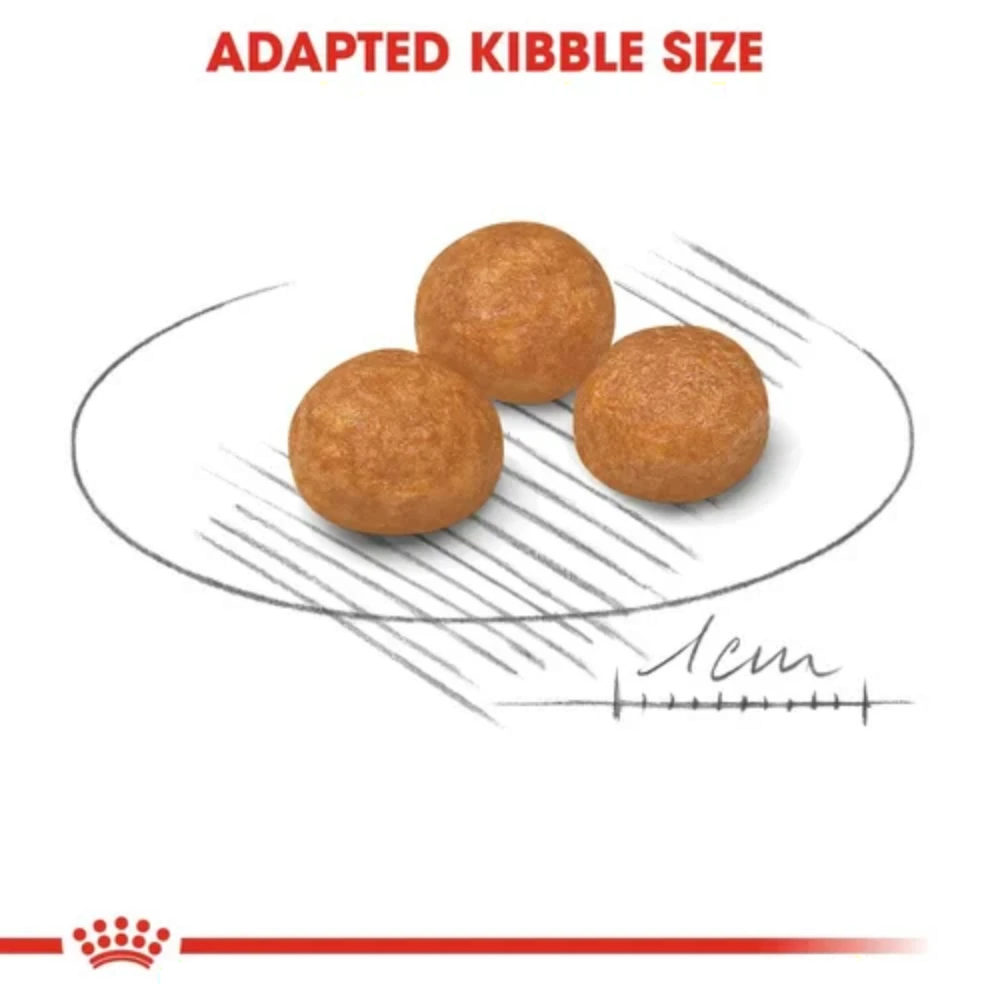 Royal Canin X-Small Breed Adult Dog Food 1.5kg.