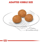 Royal Canin X-Small Breed Adult Dog Food 1.5kg.