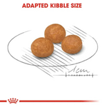 Royal Canin X-Small Breed Adult Dog Food 1.5kg.