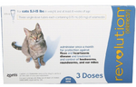 Revolution Topical Solution for Cats, 5.1-15 lbs - 1 Pipette