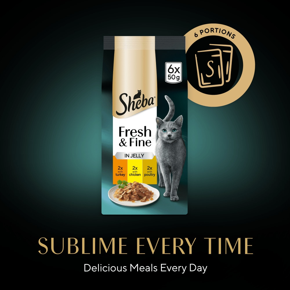 Sheba Fresh & Fine cat food package on a dark background
