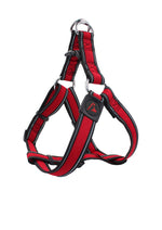 DOCO® Athletica Air Mesh Step-in Dog Harness.