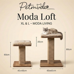 Cat tree with dimensions labeled, featuring 'Petmoda Moda Loft' branding.
