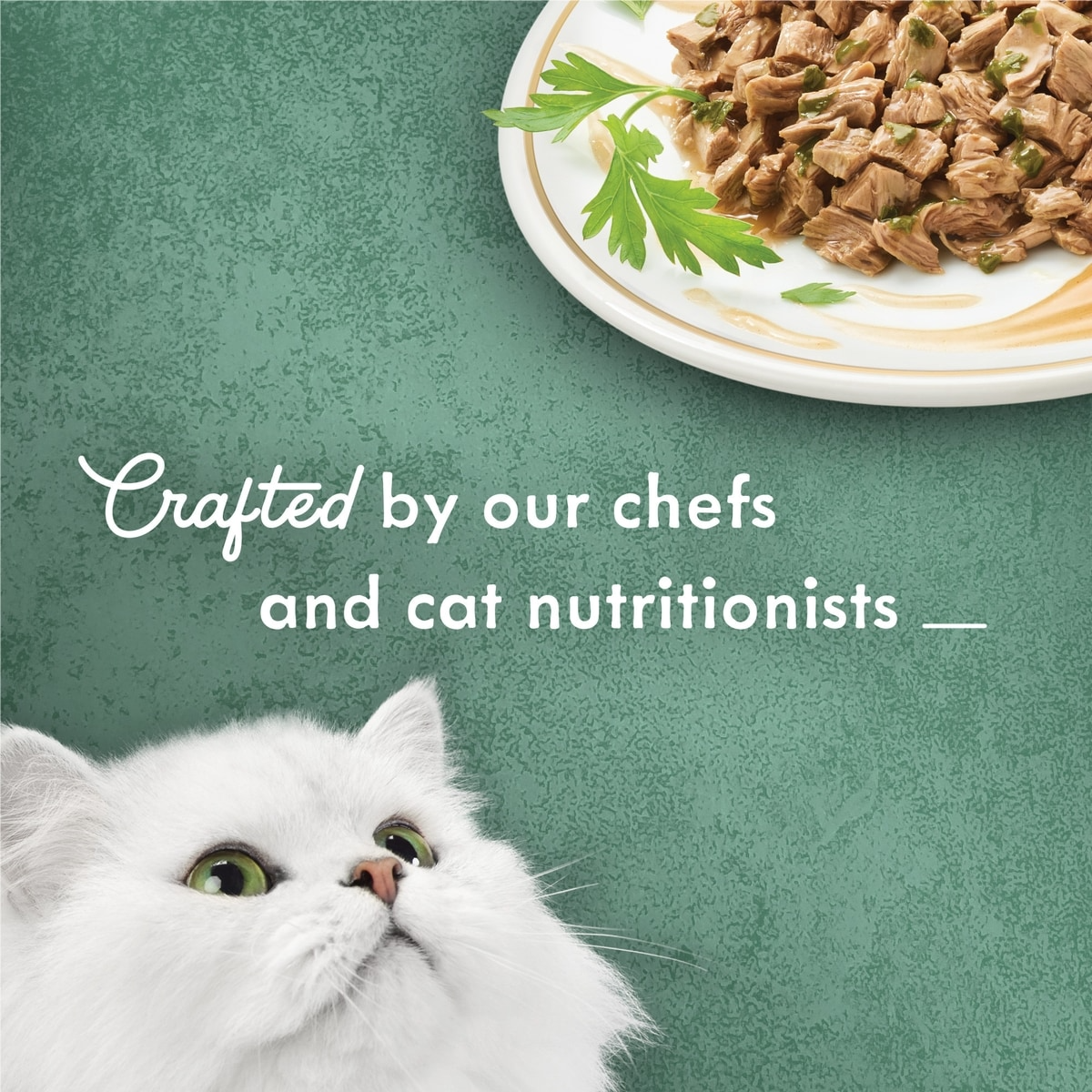 Fancy Feast Medleys Tuna Florentine with Spinach Cat Wet Food85g