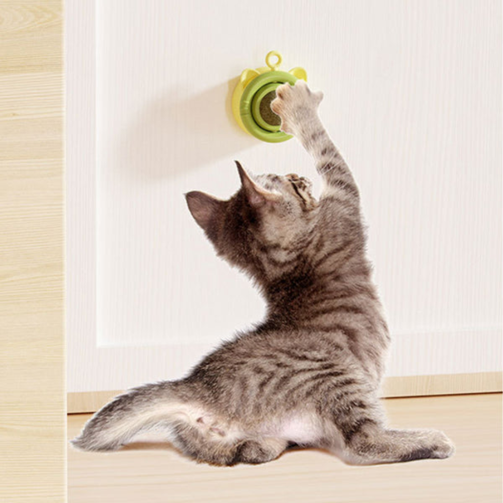 Nunbell Catnip Toy Petfast.shop Nunbell Cat catnip toy Supplies Toys petfast.shop EgyptGray 150.00