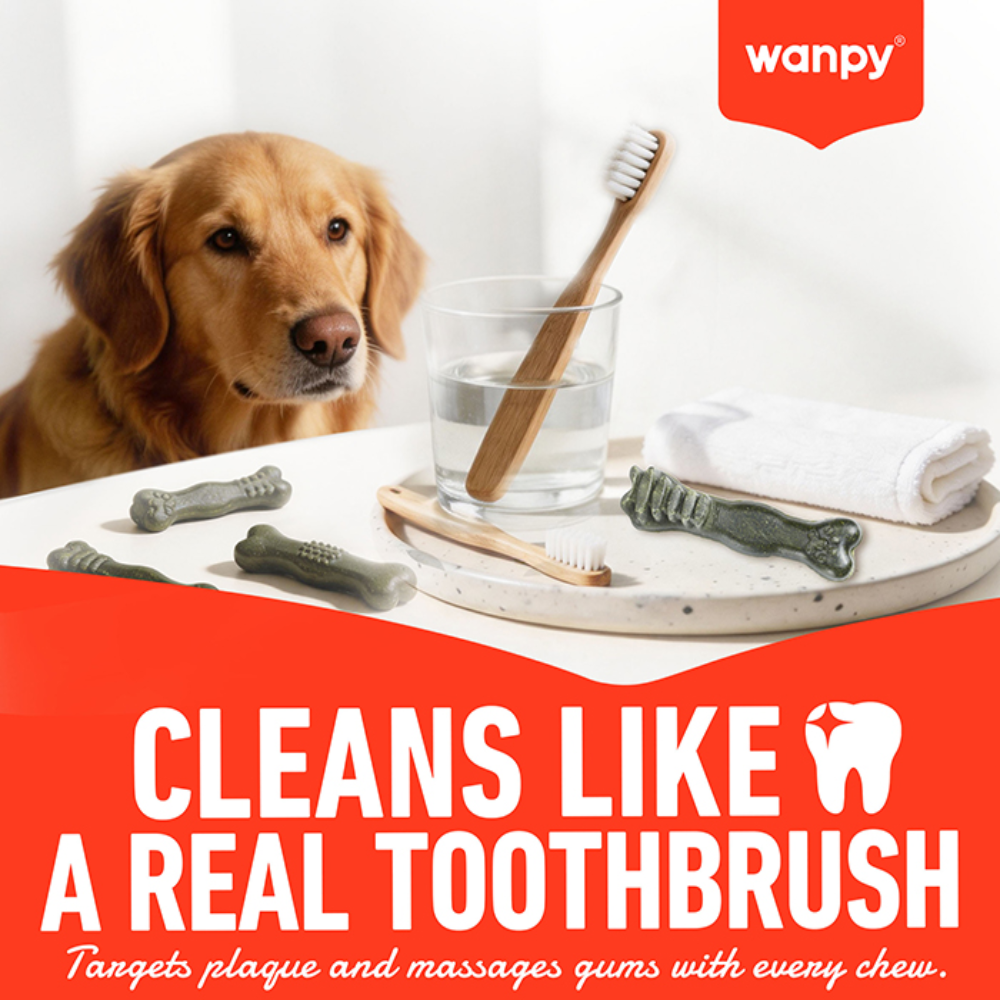 Wanpy Treat For Adult Dog Toothbrush Chews Chicken 100 g