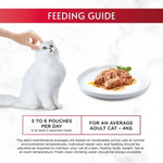 Gourmet Cat Wet Food Mon Petit Intense with Duck 50g Petfast.shop Gourmet Cat Exclusive Food Wet Food petfast.shop Egypt PGO6883S Default Title 125.00