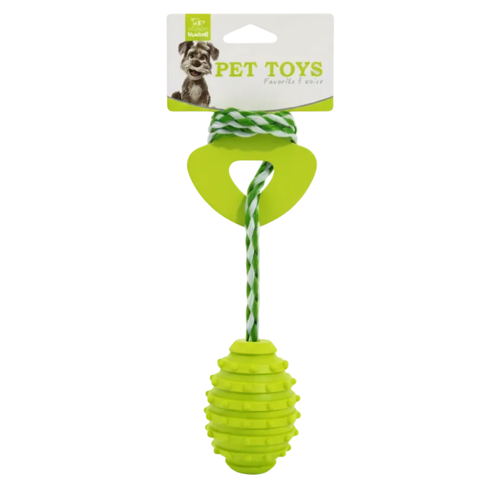 Green pet toy with a string on a white background