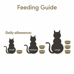 Feeding guide for cats with different sizes and corresponding bowls