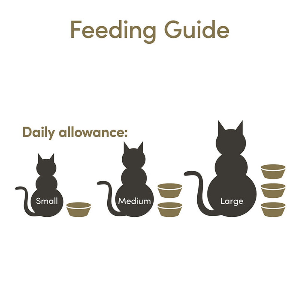 Feeding guide for cats with different sizes and corresponding bowls