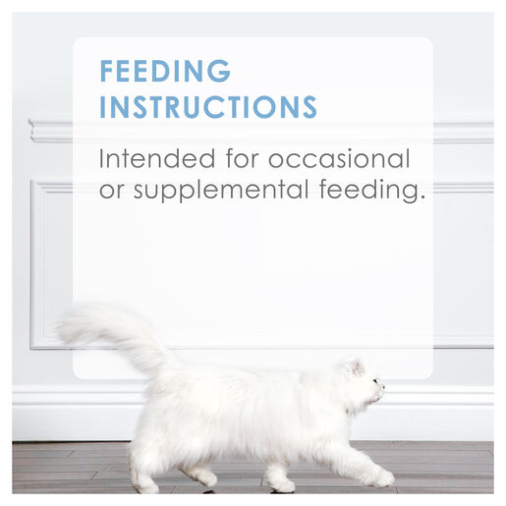 White dog standing on a wooden floor with text about feeding instructions.