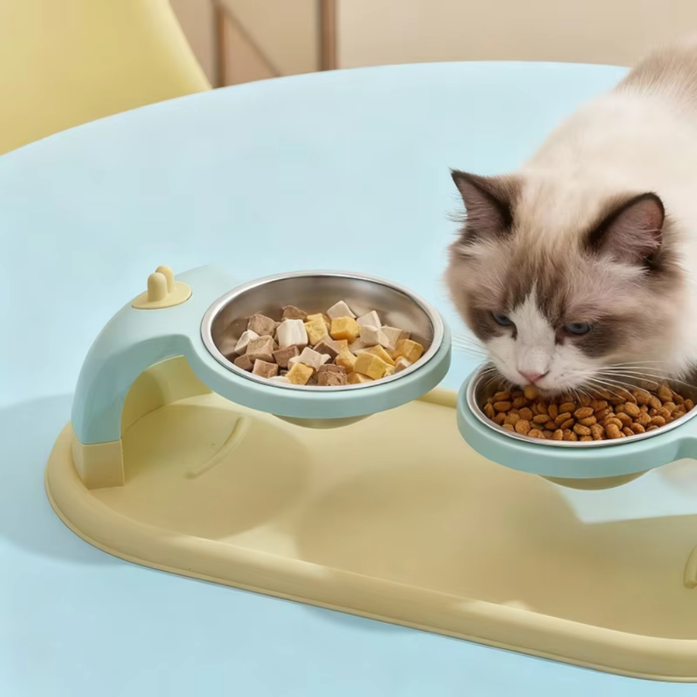 Double Feeding Bowl for Cats and Small Dogs Petfast.shop Generic Bowls & Feeders Cat Dog Supplies petfast.shop EgyptDefault Title 400.00