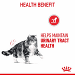 Cat on a white background with text about health benefits of the product