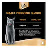 Sheba Filets Selection in Gravy Wet Food for Cats 4*60g