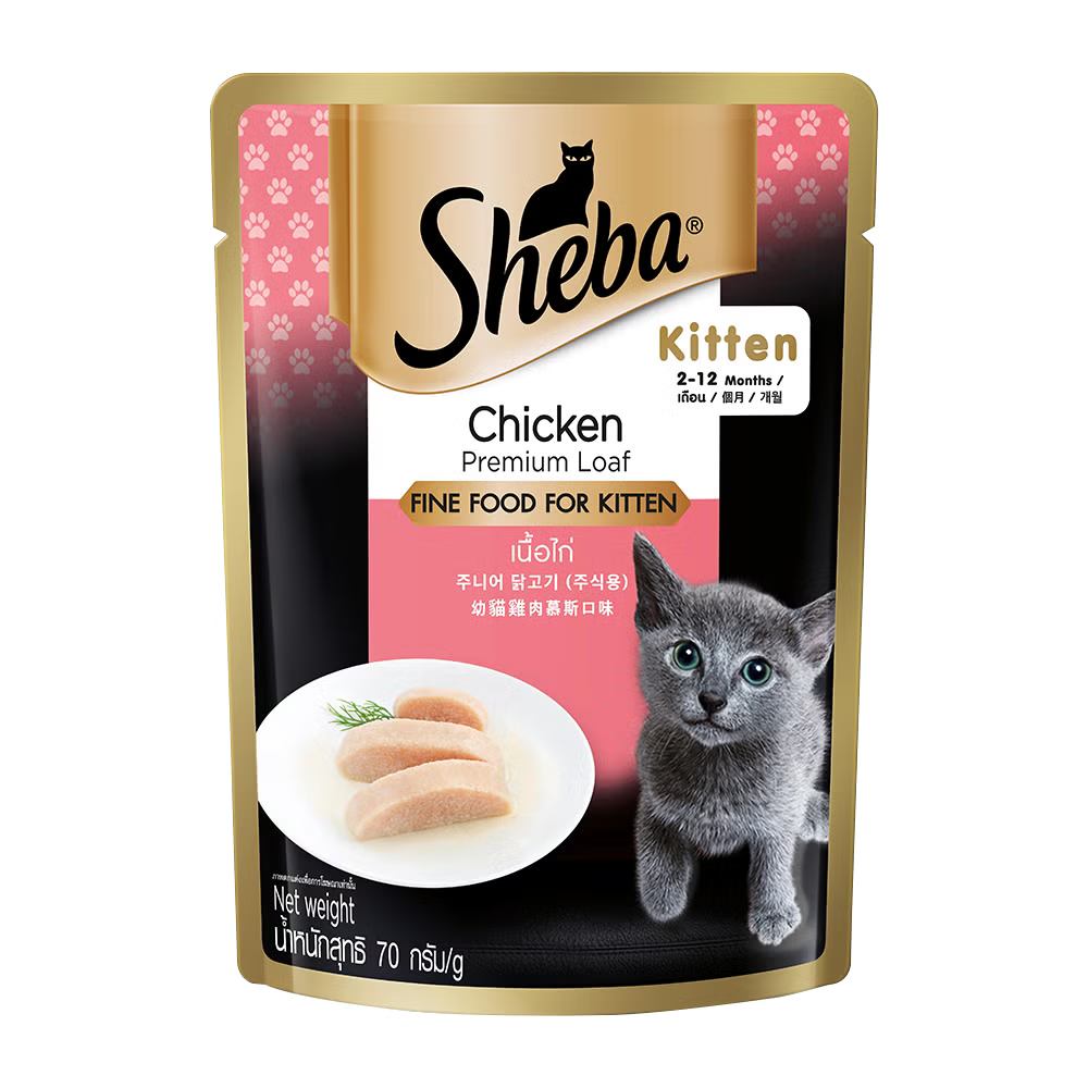 Sheba Premium Kitten Food Chicken 70g