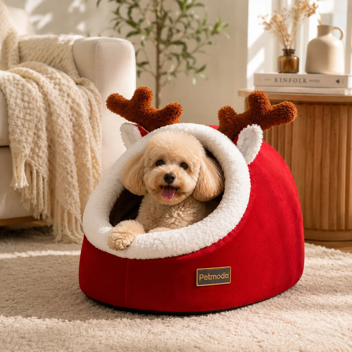 Petmoda Christmas Cat House 50Cm